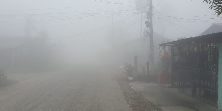तराईमा शीतलहर र बाक्लोको कारण जनजीवन प्रभावित
