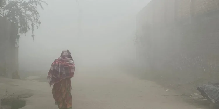 तराई क्षेत्रमा चिसोले जनजीवन कष्टकर