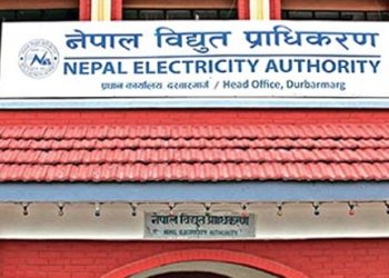 विद्युत् प्राधिकरण नाफा ११ अर्ब ३६ करोड