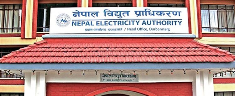 विद्युत् प्राधिकरण नाफा ११ अर्ब ३६ करोड