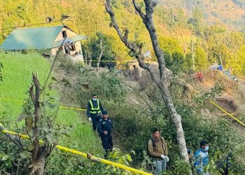 प्यूठानमा घनले हानेर दम्पतीको हत्या
