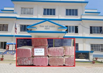 महोत्तरी : ६ क्विन्टल गाँजासहित ट्रक चालक प्रहरीको नियन्त्रणमा