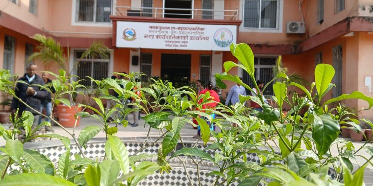ज.उ.म.न.पा. : निजी विद्यालयहरुलाई शुल्क निर्धारण गर्न पत्र