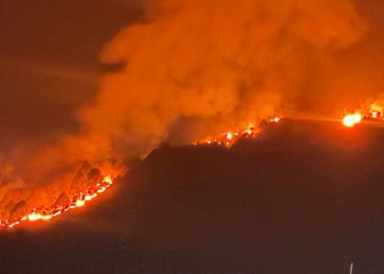ललितपुरको बुढीदेवी वनमा आगलागी