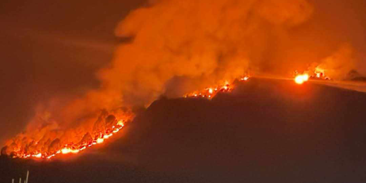 ललितपुरको बुढीदेवी वनमा आगलागी