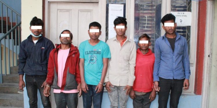 गाडिएको अवस्थामा युवकको शव फेला , ६ जना पक्राउ