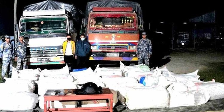 १६३६ किलो गाँजासहित २ युवक पक्राउ