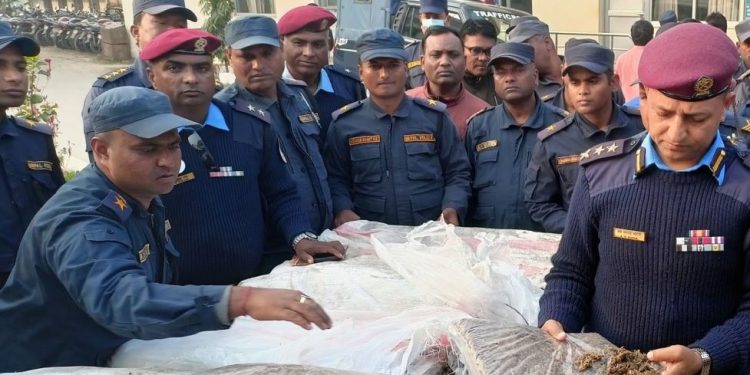 मुरहीको गोदामबाट ८० बोरा गाँजा बरामद