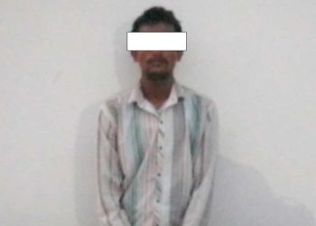 ४३ लाखसहित भारतीय पक्राउ