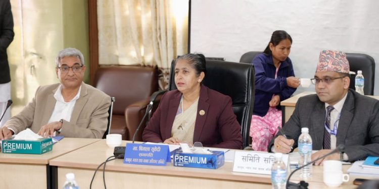 तीनकुने घटनामा मानव अधिकार सँग संसदीय समितिको छलफल