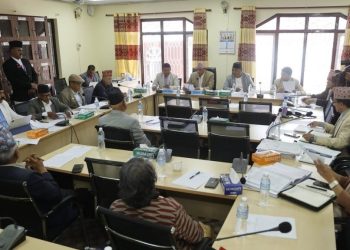 संसदीय उपसमितिले विधेयकको प्रतिवेदन पेस गरेपछि छलफल सुरु
