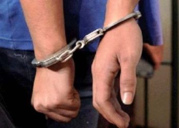 नागढुंगाबाट ब्राउनसुगरसहित २ भारतीय नागरिक पक्राउ