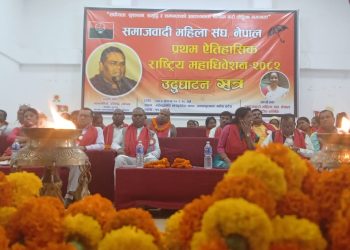 अहिलेको सरकार विचौलियाको सरकार : उपेन्द्र यादव