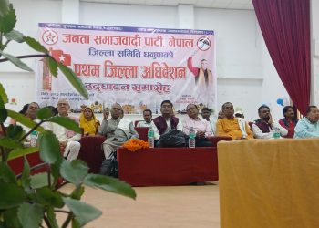 देशको राजनीति तीन ध्रुवमा ध्रुविकृत हुँदै गईरहेको छ : उपेन्द्र यादव