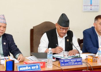 शिक्षा विधेयक आजै संसद् र्पुयाउन प्रयास गरेका छौं : शिक्षा समिति