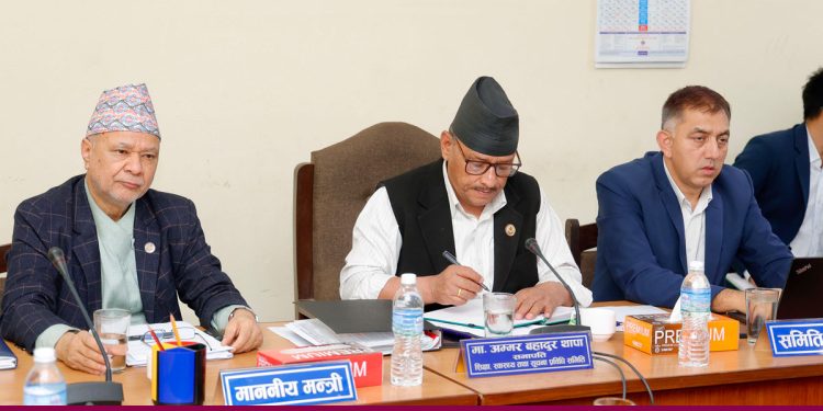 शिक्षा विधेयक आजै संसद् र्पुयाउन प्रयास गरेका छौं : शिक्षा समिति