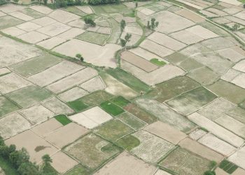 मधेश प्रदेशको सुक्खा क्षेत्रमा प्रधानमन्त्री ओलीको अवलोकन