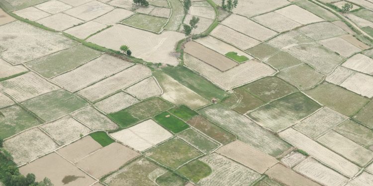 मधेश प्रदेशको सुक्खा क्षेत्रमा प्रधानमन्त्री ओलीको अवलोकन