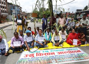 विभिन्न माग गर्दै उखु किसानहरु धर्नामा