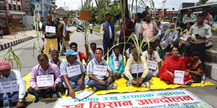 विभिन्न माग गर्दै उखु किसानहरु धर्नामा