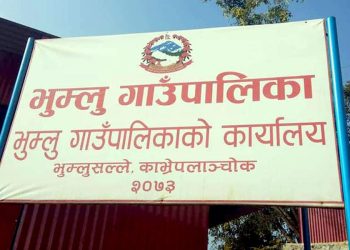 लागु औषध मुद्दा सजायमा गाउँपालिका उपाध्यक्षमा