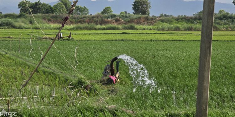पानी लगाउने क्रममा करेन्ट लागेर महिला मृत्यु