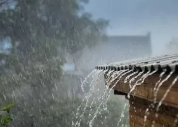 सुक्खा संकटपछि मधेशमा व्यापक वर्षा : कहाँ कति मिलिमिटर ?