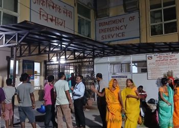 मधेशमा सर्पदंशको घटनामा वृद्धि, सात जनाको मृत्यु