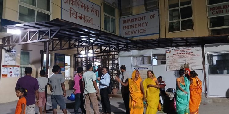 मधेशमा सर्पदंशको घटनामा वृद्धि, सात जनाको मृत्यु