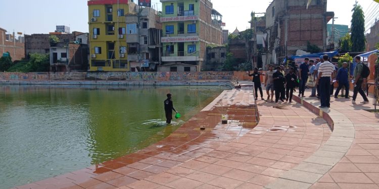मल्लिक समाज युवा शक्तिद्वारा तेलहा पोखरी सफा अभियान