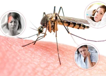 काठमाडौं डेंगु संक्रमणको रेड जोनमा