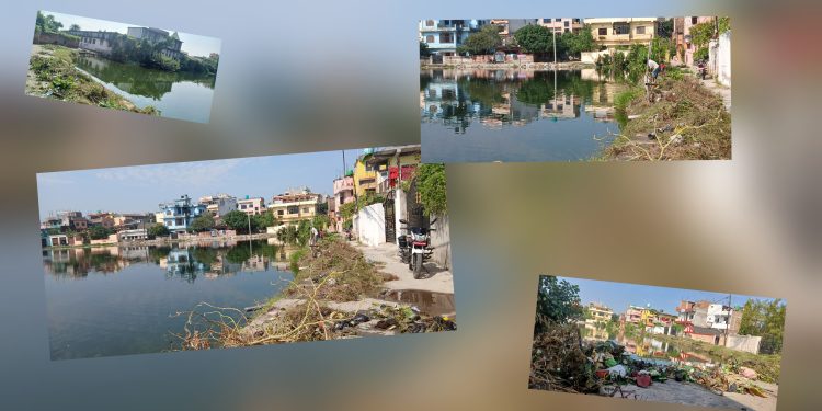 छठ पर्व नजिकिँदै, जनकपुरको पाकबतीसर पोखरीमा सफाइ अभियान सुरु