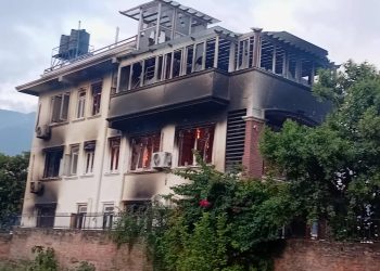 विद्या भण्डारीको घर जलाएको आरोपमा थेवे पक्राउ