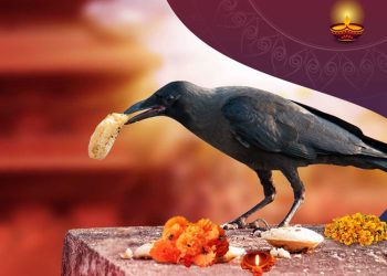 आज कागलाई मीठोमीठो चिजबीज खान दिएर काग तिहार मनाईदैं