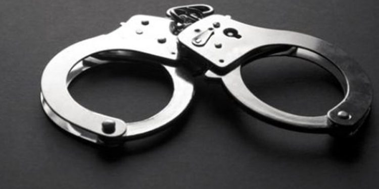 चितुवाको छालासहित दुई महिला पक्राउ