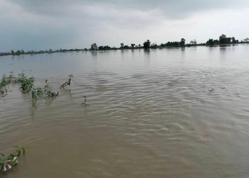 सप्तकोशीको बाढीले ३ जिल्लामा जोखिम