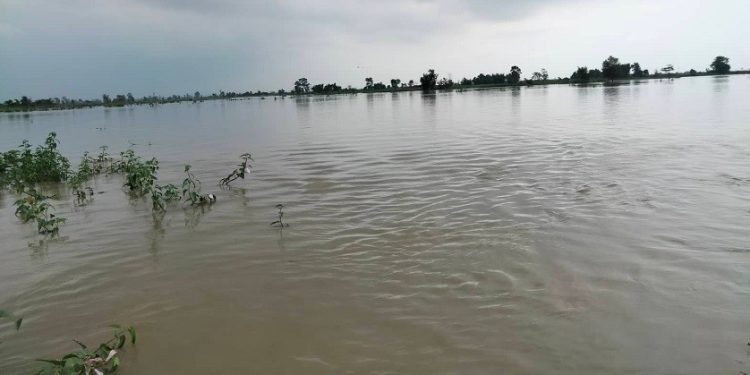सप्तकोशीको बाढीले ३ जिल्लामा जोखिम