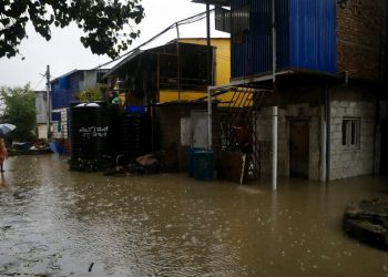 सुकुम्बासी बस्तीमा पस्यो बाढी