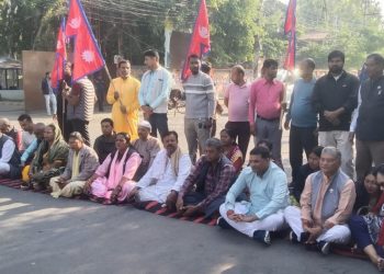 सात दलका सांसदहरु आज पनि सडकमा