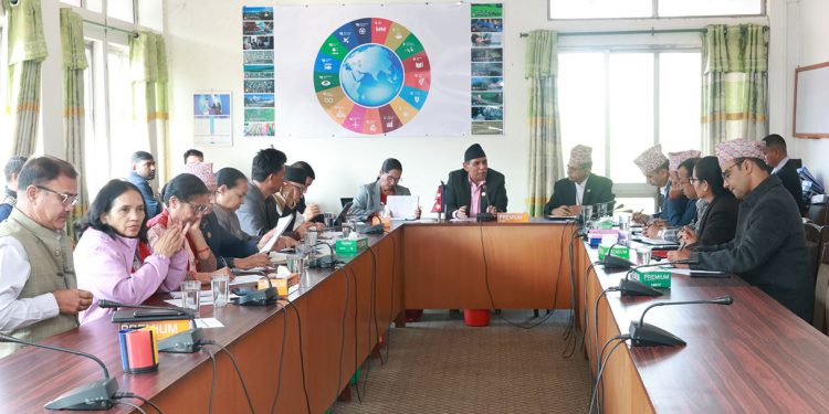 अन्तरिम सरकारका मन्त्री पहिलोपटक संसदीय बैठकमा