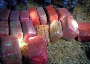 पर्सामा १७६ किलो गाँजा बरामद