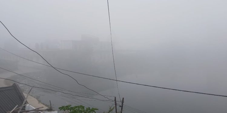 तराईमा बाक्लो हुस्सु-कुहिरो, जनजीवन र यातायात प्रभावित