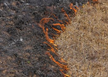 सुख्खायाम सुरु भएसँगै आगलागी बढ्यो, एक महिनामा ८ को मृत्यु, ५५ घाइते