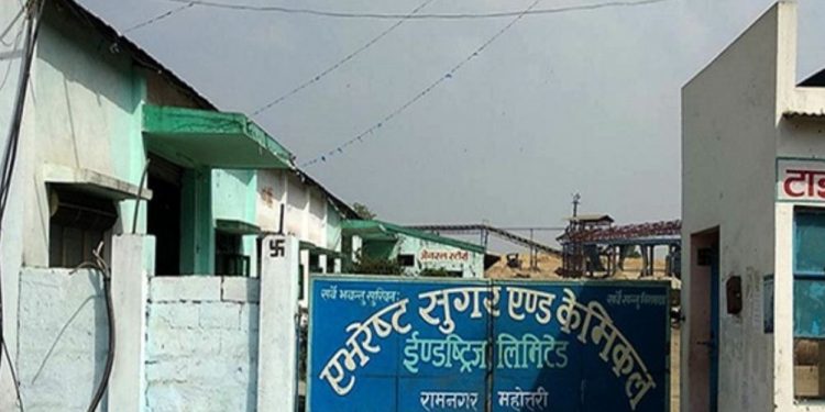 उखु अभावका बीच एभरेस्ट चिनी उद्योग सञ्चालनमा