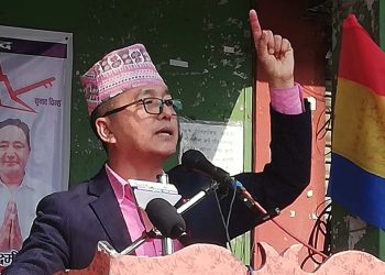 सरकार र राजनीति विदेशीको प्रभावमा परेको लिङ्देनको आरोप