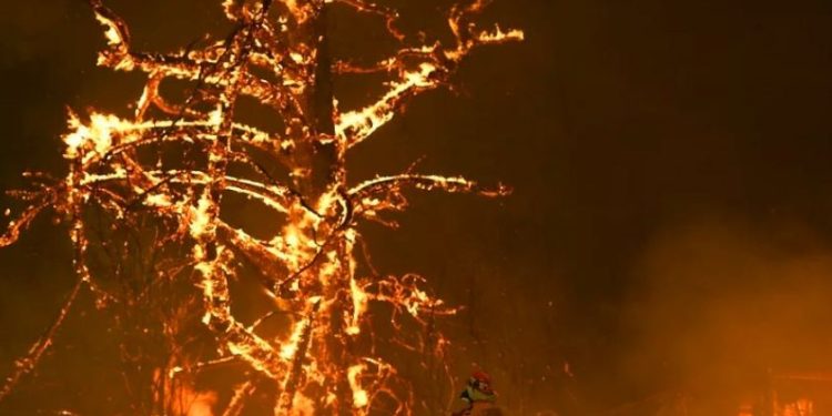 जङ्गली आगोको जोखिम बढ्दै, ७० लाख नागरिक प्रभावित हुने सम्भावना