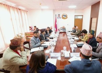 पेट्रोलमा इथानोल मिश्रण लागू, जेनजी सहिद परिवारलाई सहयोग