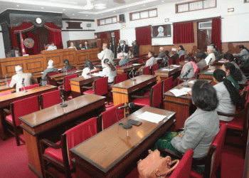 राष्ट्रिय सभाबाट मतदाता नामावली र निर्वाचनसम्बन्धी अध्यादेश पारित