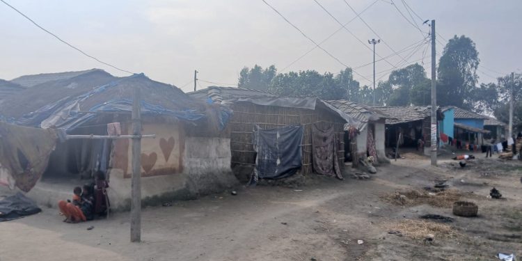 धनुषा-४ को मुसहर बस्ती : दशकौँदेखि राज्यविहीन जीवन