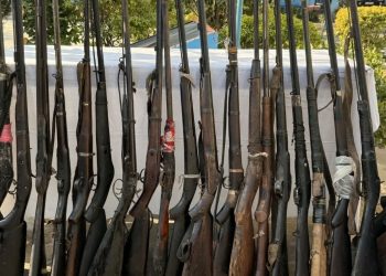 जङ्गल र गोठमा लुकाइएका भरुवा बन्दुक बरामद